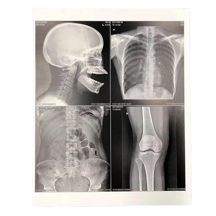 Untitled design (34)